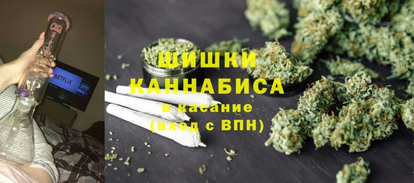 прущие грибы Лихославль