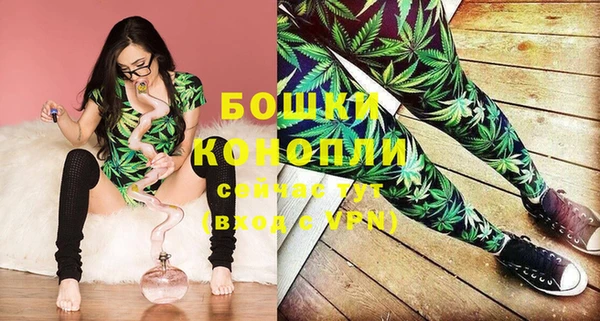 прущие грибы Лихославль