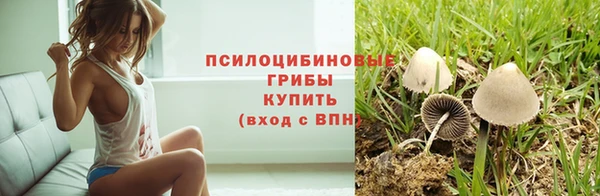 альфа пвп Лиски