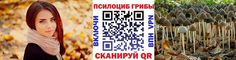 Псилоцибиновые грибы мухоморы  наркота  Сунжа 