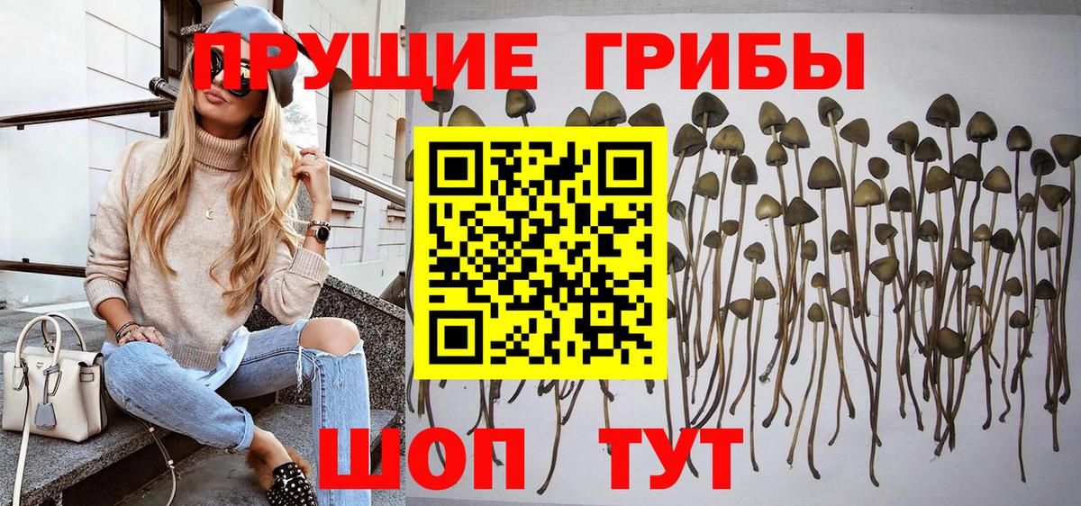 Псилоцибиновые грибы MAGIC MUSHROOMS Сунжа