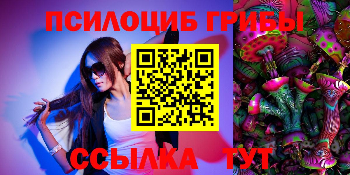 Псилоцибиновые грибы мицелий Сунжа