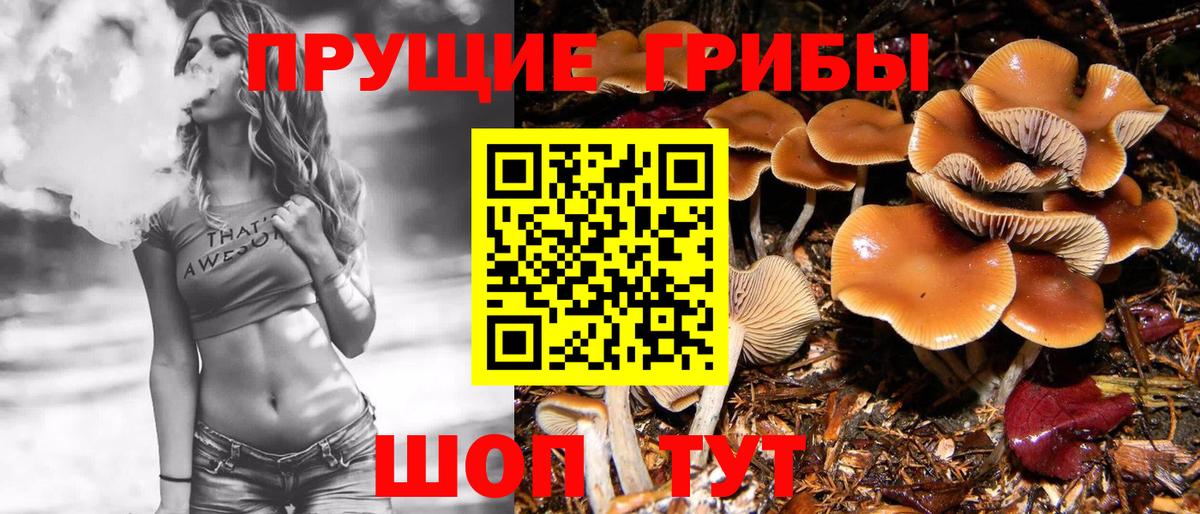 Сунжа  Галлюциногенные грибы мухоморы  Вход с VPN 