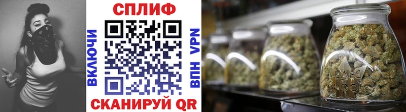 ссылка на мегу зеркало Сунжа Конопля конопля